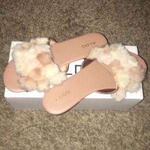 Fuzzy Aldo slides